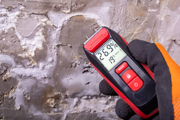 Best Office Mold Removal Services  in Fort Pierce South, FL