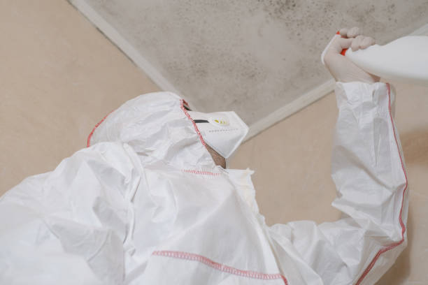 Professional Mold Removal in Fort Pierce South, FL